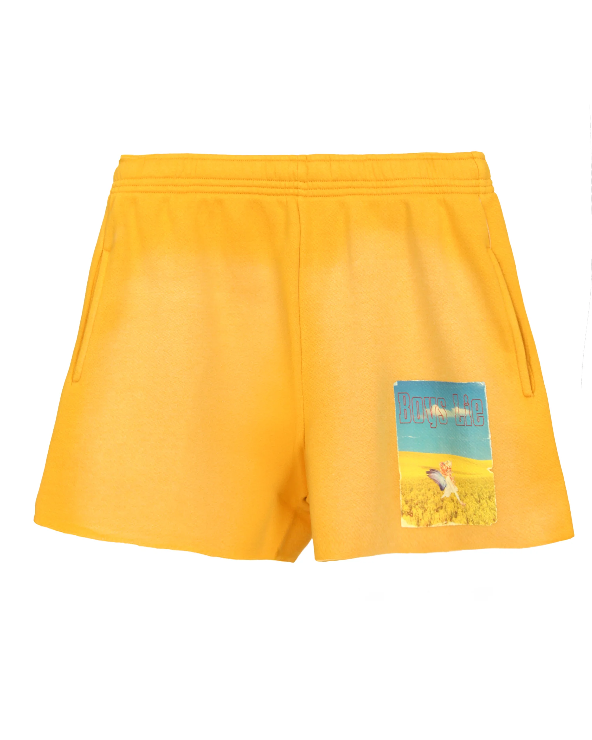 Fool's Gold Francis Short